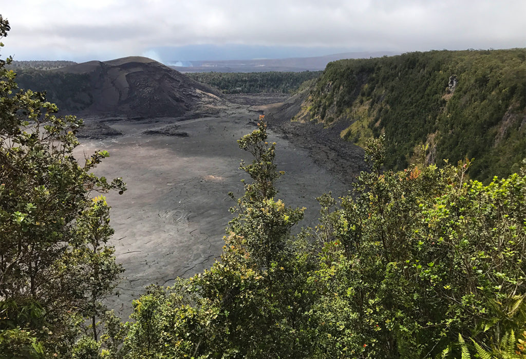 The Kilauea Iki Overlook In Hawaii Volcanoes National Park