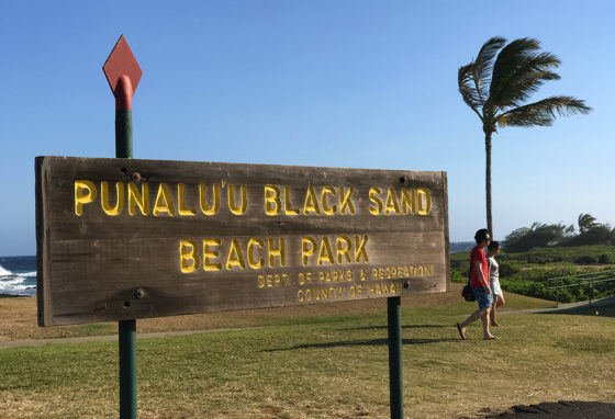 Punalu'u Black Sand Beach Park in Hawaii
