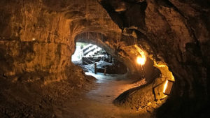 500 Year Old Thurston Lava Tube At Hawai'i Volcanoes National Park