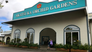 Akatsuka Orchid Gardens in Hawaii
