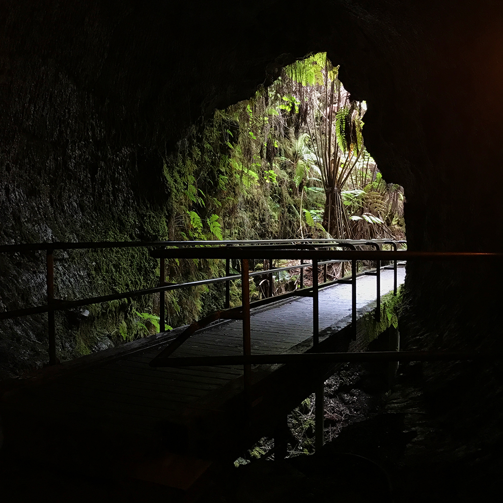 500 Year Old Thurston Lava Tube At Hawai'i Volcanoes National Park