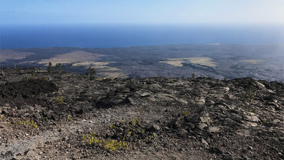 Driving Chain Of Craters Road In Hawaii Volcanoes National Park