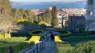 Lyon Street Steps in the Pacific Heights Neighborhood of San Francisco
