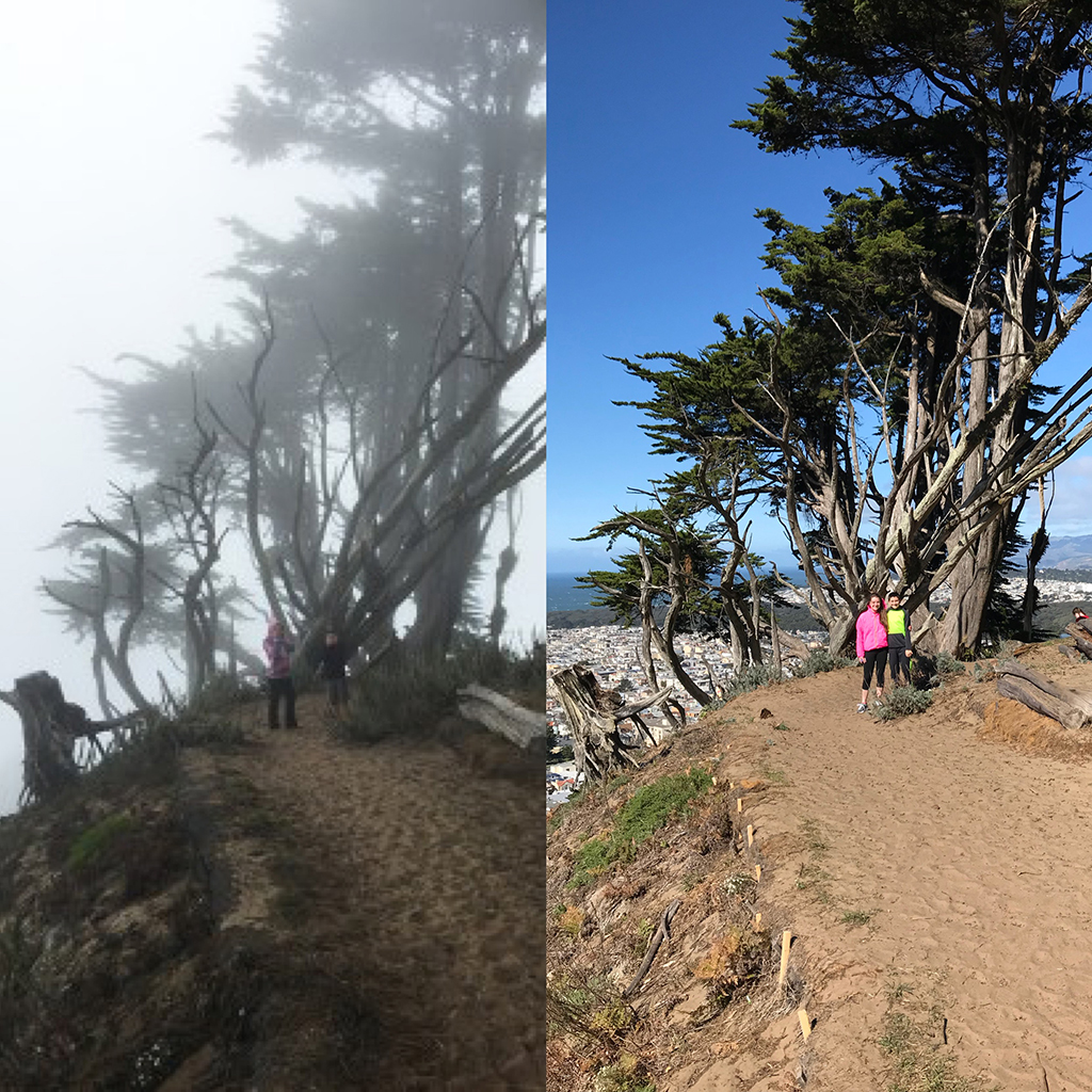 San Francisco Winter vs Summer Comparison