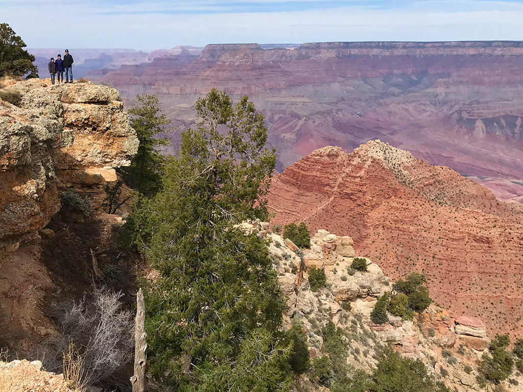 Navajo Point Scenic Overlook In Grand Canyon National Park