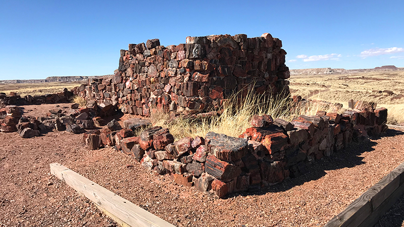 Long Logs Trail and Agate House Trail at Petrified Forest National Park