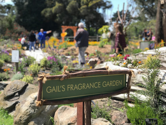 Gail's Fragrance Garden