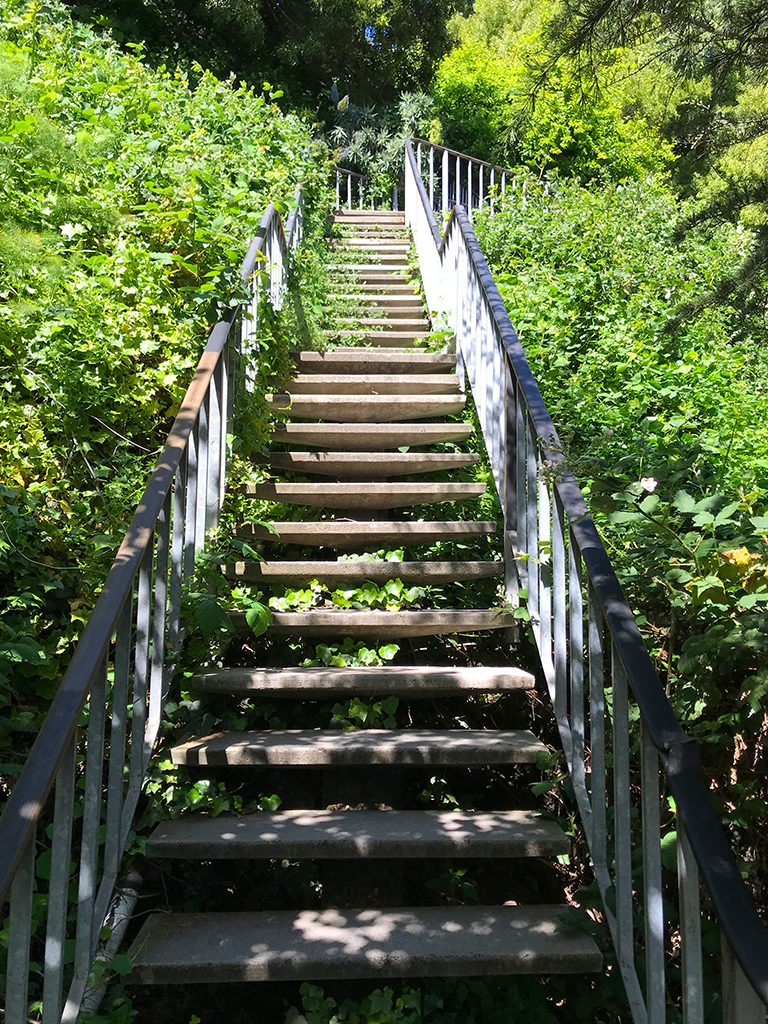 The Greenwich Steps On Telegraph Hill In San Francisco | Inspired