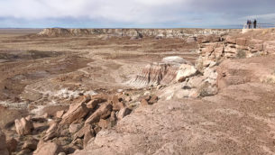 The Jasper FOrest Overlook at Petrified Forest National Park