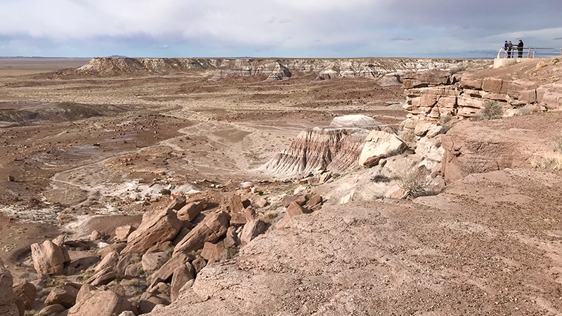 The Jasper Forest Overlook at Petrified Forest National Park
