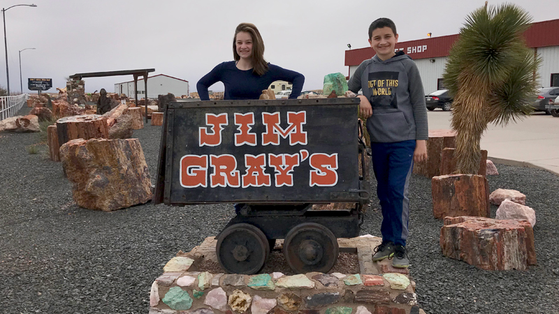 Jim Gray's Petrified Wood COmpany in Holbrook, Arizona