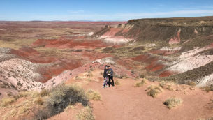 Nizhoni Point in the Painted Desert at Petrified Forest National Park