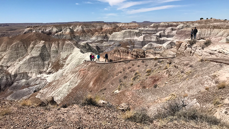 The Blue Mesa Trail at Petrified Forest National Park