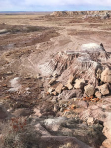 Jasper Forest Overlook At Petrified Forest National Park In Arizona