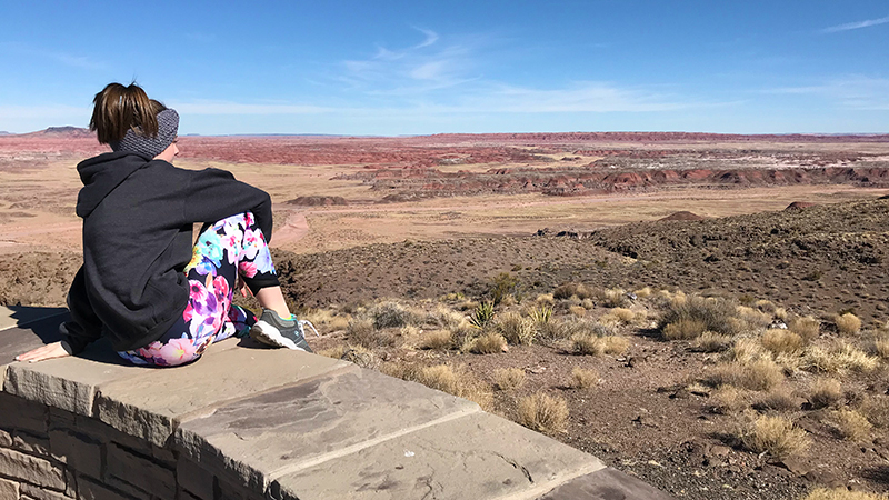 Pintado Point In The Painted Desert of Petrified Forest National Park