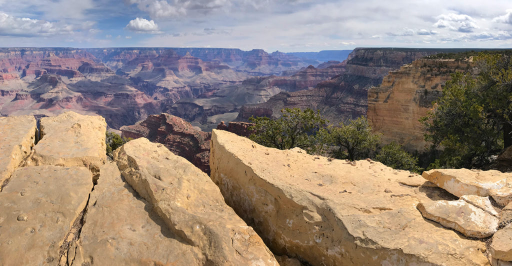Powell Point On The Canyon Rim Trail In Grand Canyon National Park