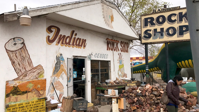 Rainbow Rock Shop in Holbrook, Arizona With Dinosaurs