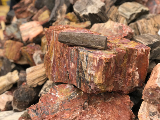 Stacks of Petrified Wood at the Rainbow Rock Shop