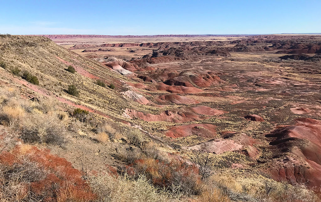 Tawa Point In The Painted Desert of Petrified Forest National Park