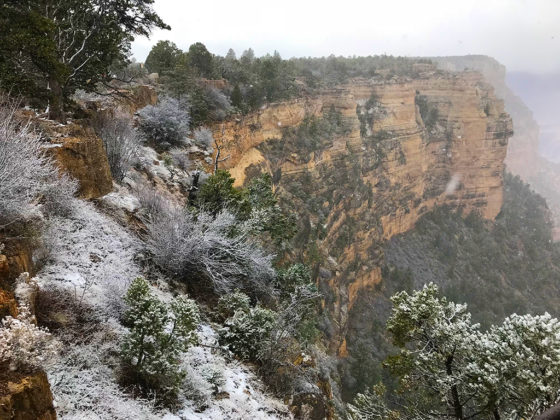 Snow on the Grand Canyon South Rim