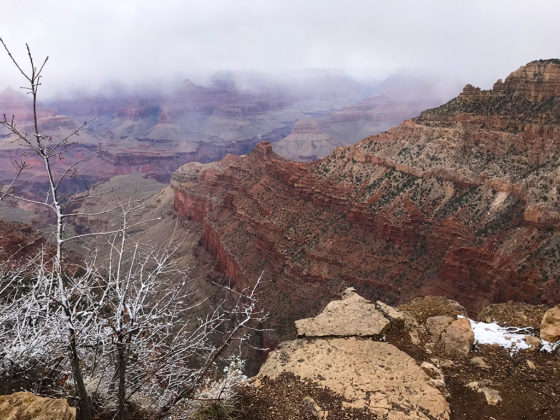 Spring Break Snow At The Grand Canyon
