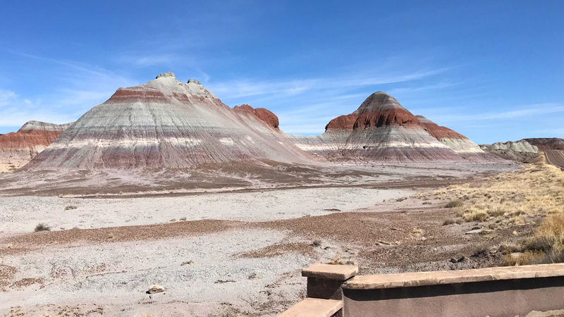 petrified forest national park