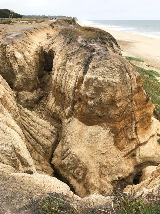 Erosion On The Coastal Bluffs