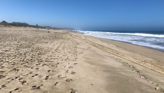 Francis State Beach in Half Moon Bay