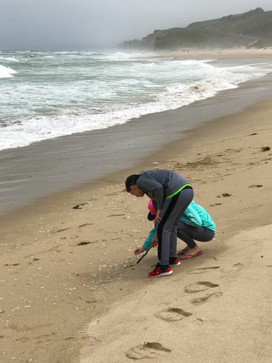 Natalie and Carter Bourn Investigating Moon Jellies at Pescadero State Beach