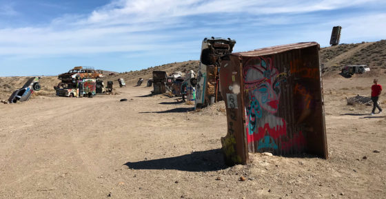 Graffiti Covered Car Forest In Nevada