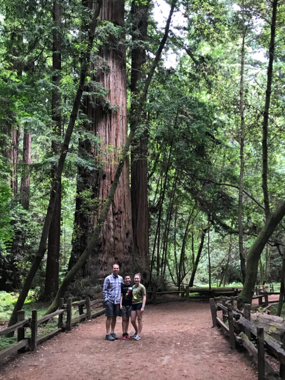 Family walk through costal redwoods grove in the Santa Cruz Mountains