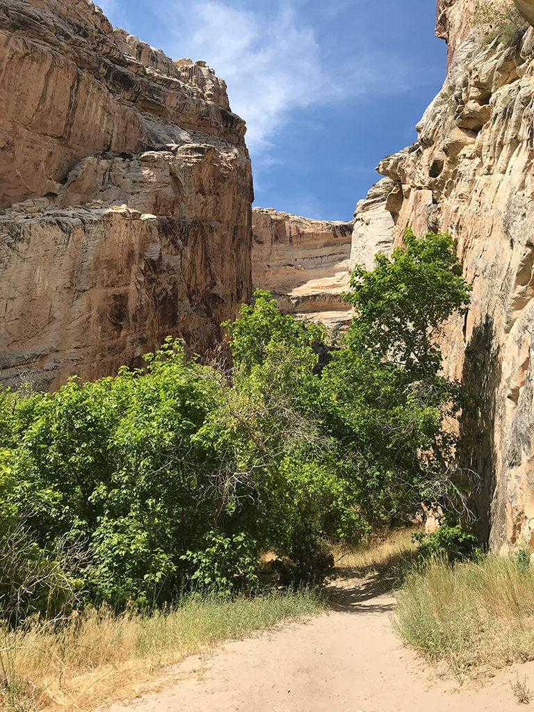 Box Canyon Trail At The Josie Morris Homestead In Dinosaur National ...