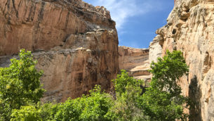 Box Canyon Trail in Dinosaur National Monument