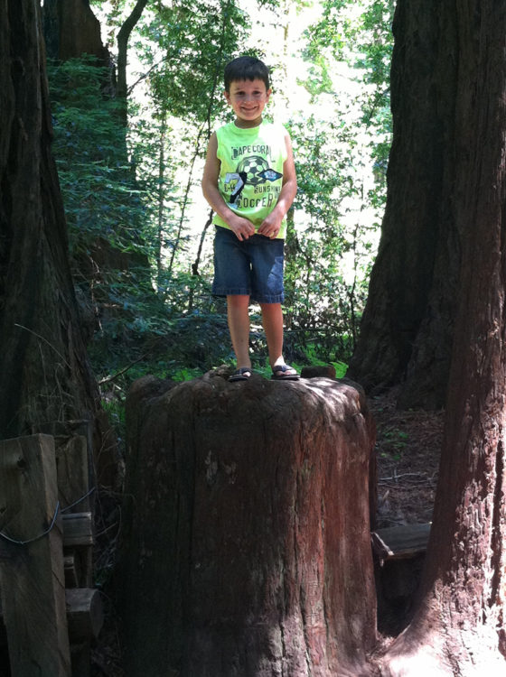 Carter Bourn at Henry Cowell Redwoods State Park in 2012
