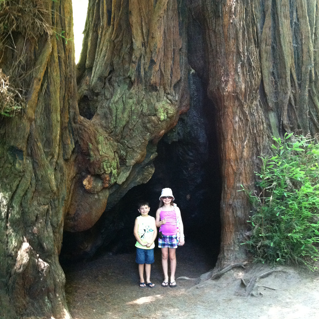 Carter and Natalie Bourn at Henry Cowell Redwoods State Park in 2012