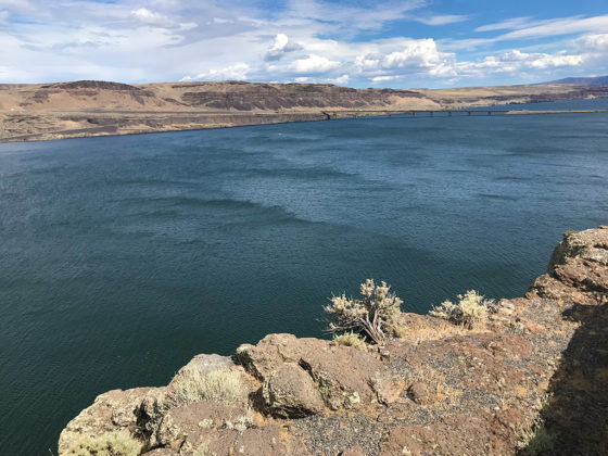 View of the Columbia River Gorge From the Ginko Petrified Forest Visitor Center