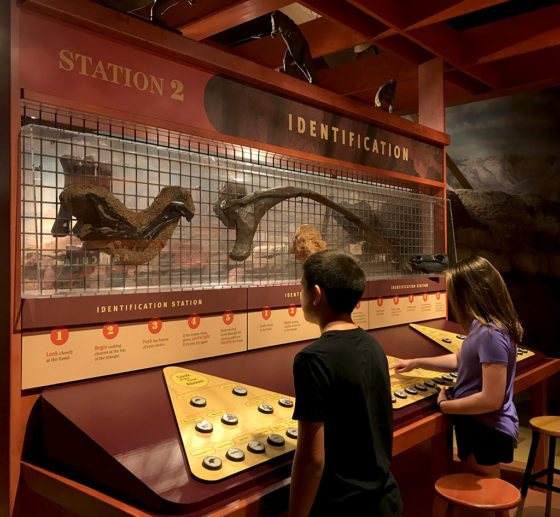 Dinosaur Identification Exhibit at the Vernal Natural History Museum