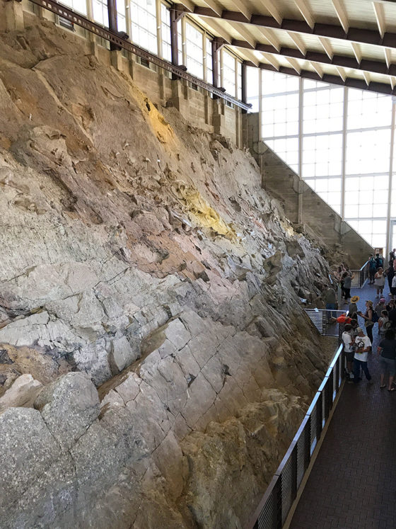 Dinosaur National Monument Wall Of Dinosaur Bones