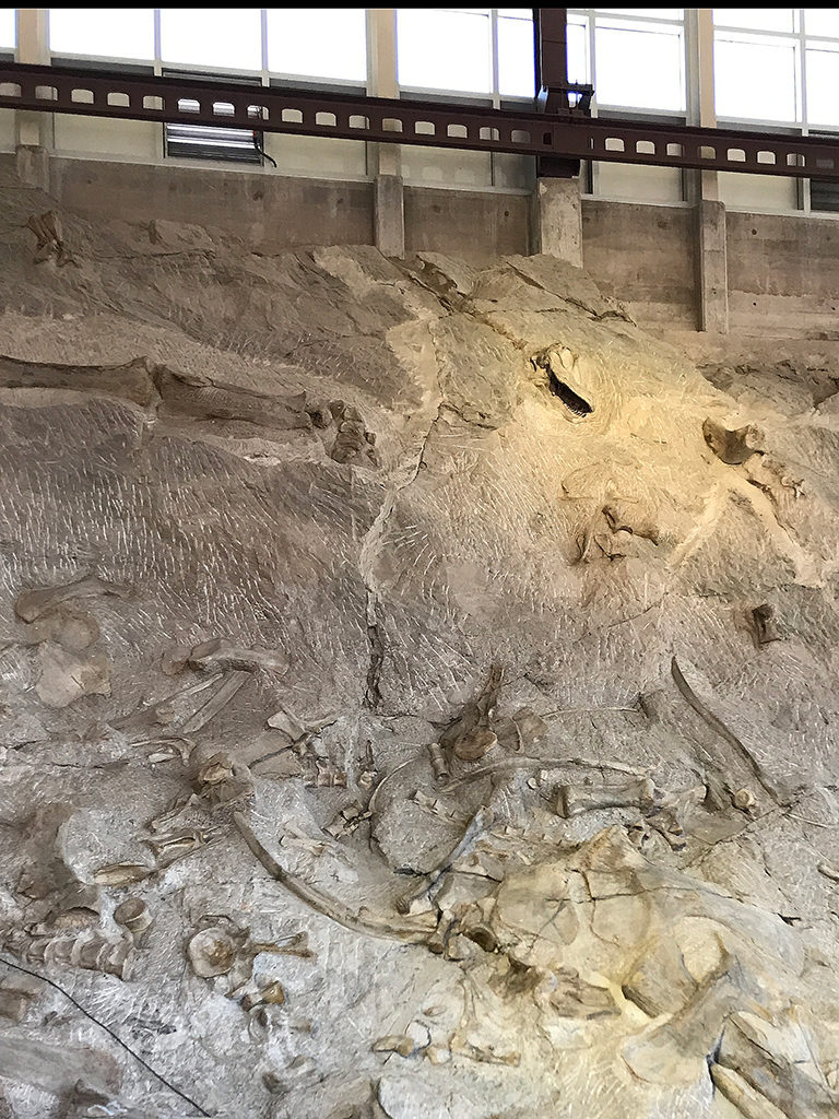 dinosaur quarry exhibit hall