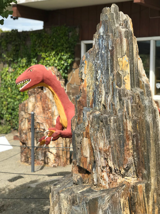 Dinosaurs and Petrified Wood at the Ginko Gem Shop