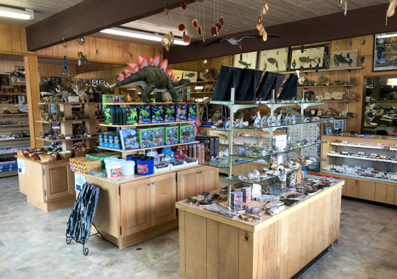 Ginko Gem Shop