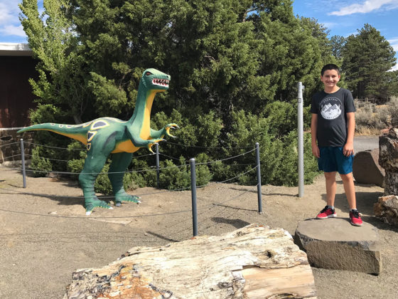 Carter Bourn With A Ginko Gem Shop Dinosaur