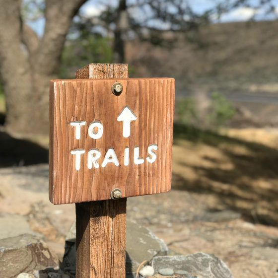 Ginko Petrified Forest Trail Sign