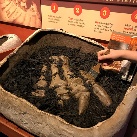 Hands-On Archaeology Exhibit