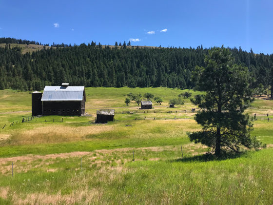 Old Barn In A Field Near Ellensburg, Washington