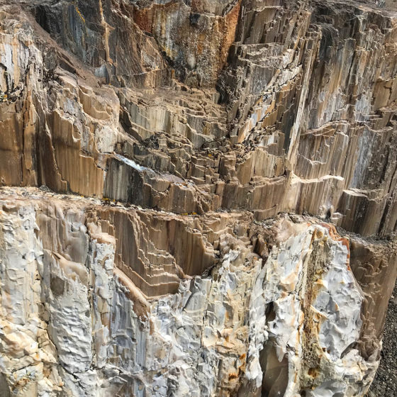 Petrified Wood In Vantage, Washington