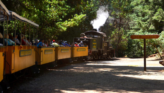 Roaring Camp Train Rides In The Santa Cruz Mountains