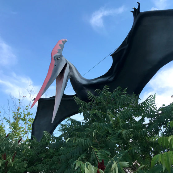 Terradactyl