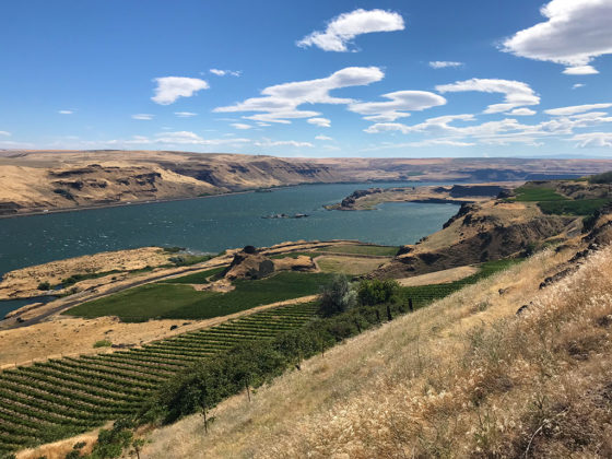 View of the Columbia River Gorge from the Maryhill Museum Of Art