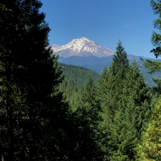 View of Mount Shasta From the Castle Crags State Park Vista Point